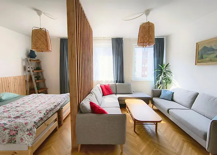 Big - 4 Bedroom, 2 Bathroom Old Town With Ac ברטיסלאבה